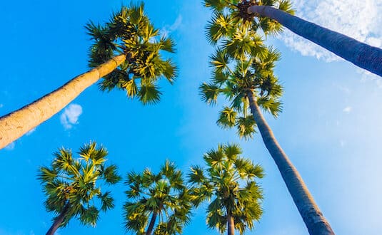 Orlando : le choix stratégique des investisseurs !